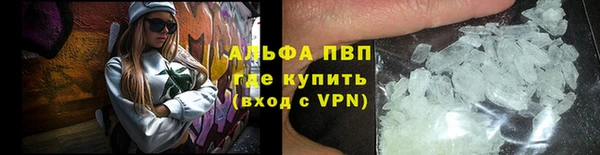 PSILOCYBIN Лабытнанги