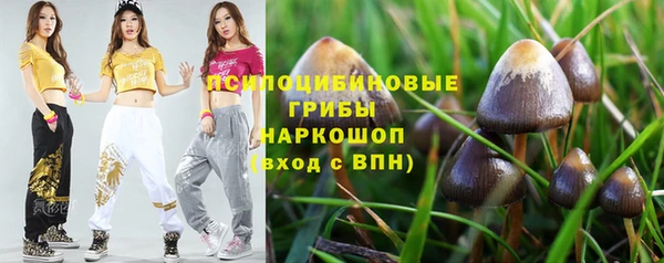 PSILOCYBIN Лабытнанги