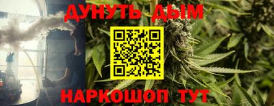 apvp Гагарин