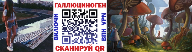 Псилоцибиновые грибы Psilocybe  дарк нет как зайти  Иваново 