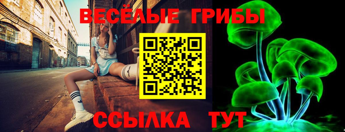 Псилоцибиновые грибы GOLDEN TEACHER  Псилоцибиновые грибы мухоморы  Иваново  Вход с VPN 
