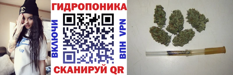 Бошки марихуана сатива  Иваново 